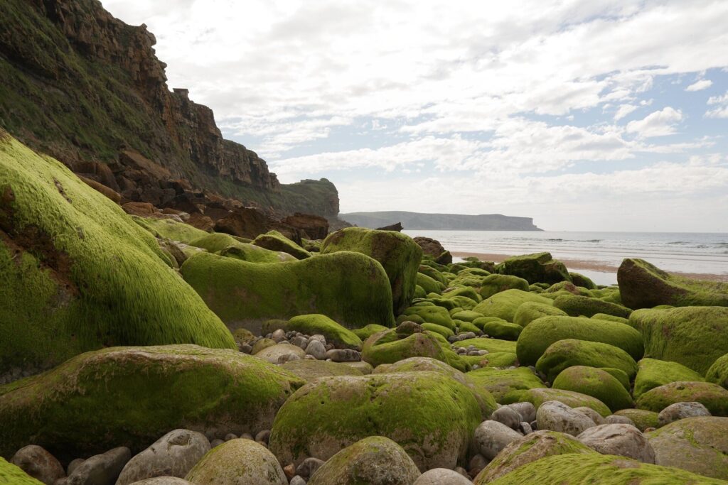 Playa de los Locos, Suances. Foto: Javier Perez Montes, Wikimedia Commons, CC BY-SA 4.0
